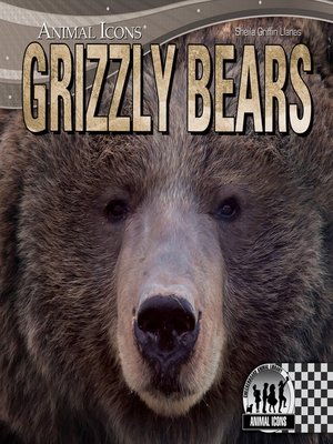 cover image of Grizzly Bears